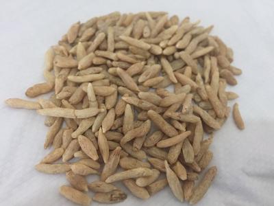 半******特級(jí)